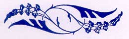 Boston Mountain Nurseries Logo